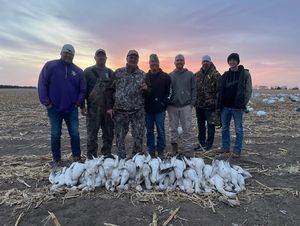 2022 Snow Goose Hunting